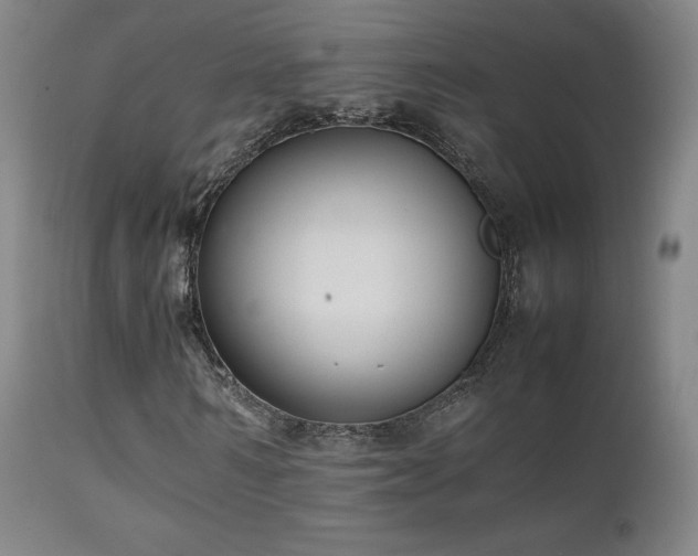 X0000111210962200907011439