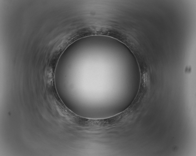 X0000111210963200907011439