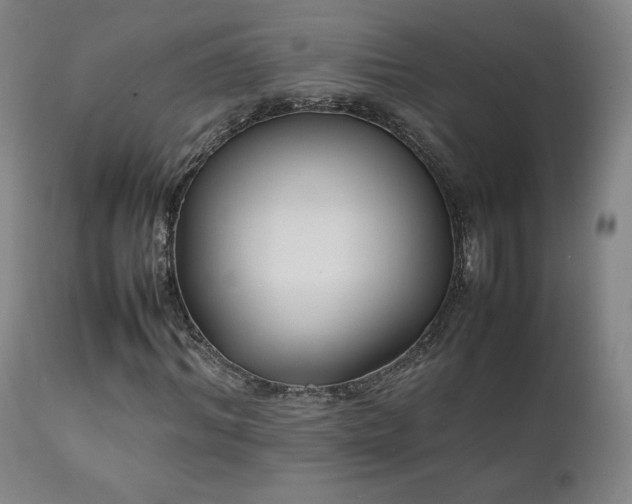 X0000111210964200907011439