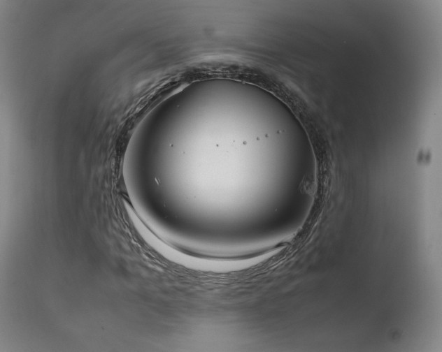 X0000111210965200907011439