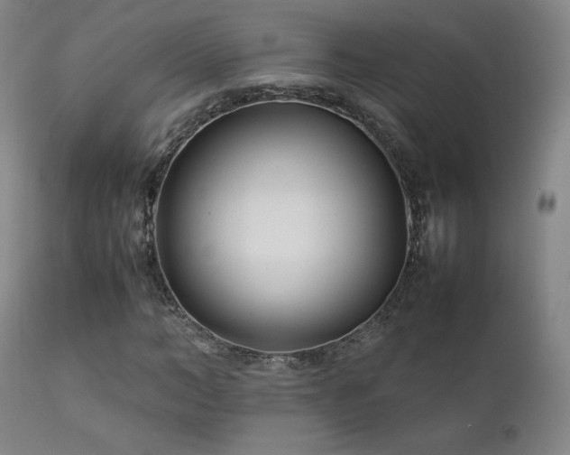 X0000111210966200907011439