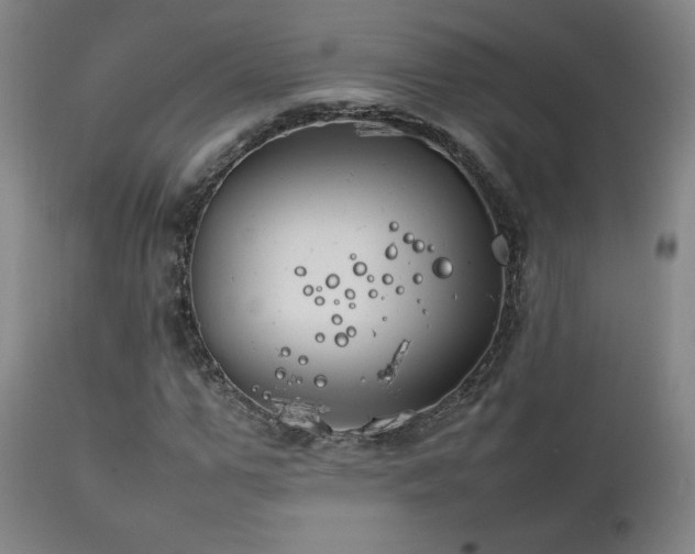 X0000111210967200907011439