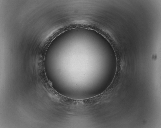 X0000111210968200907011439