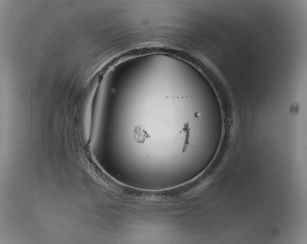 X0000111210969200907011439