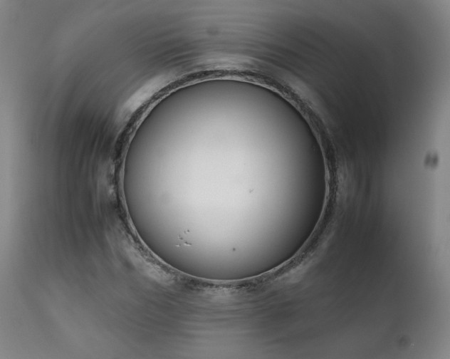 X0000111210970200907011439