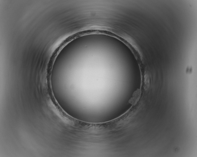 X0000111210972200907011439