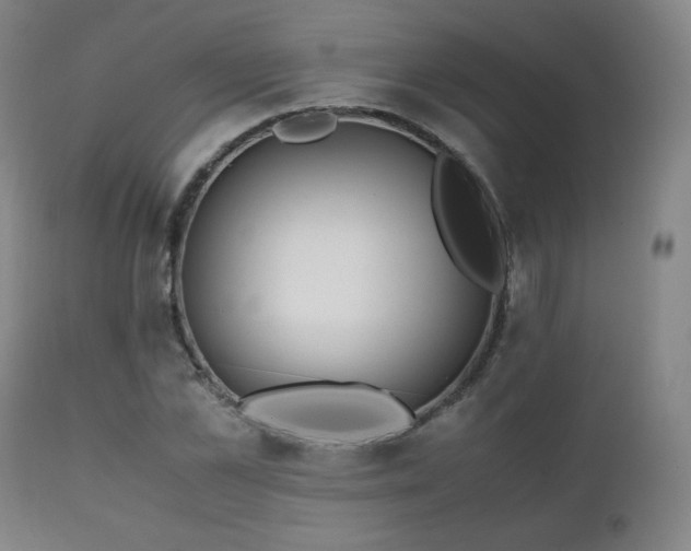 X0000111210973200907011439