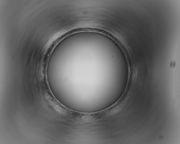 X0000111210974200907011439