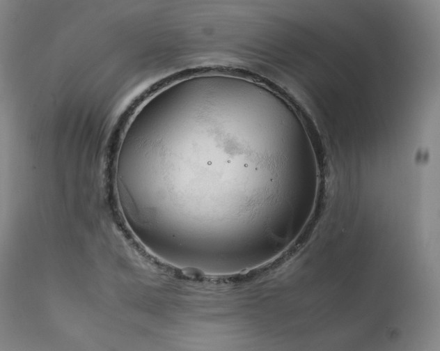 X0000111210975200907011439