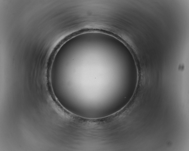 X0000111210976200907011439