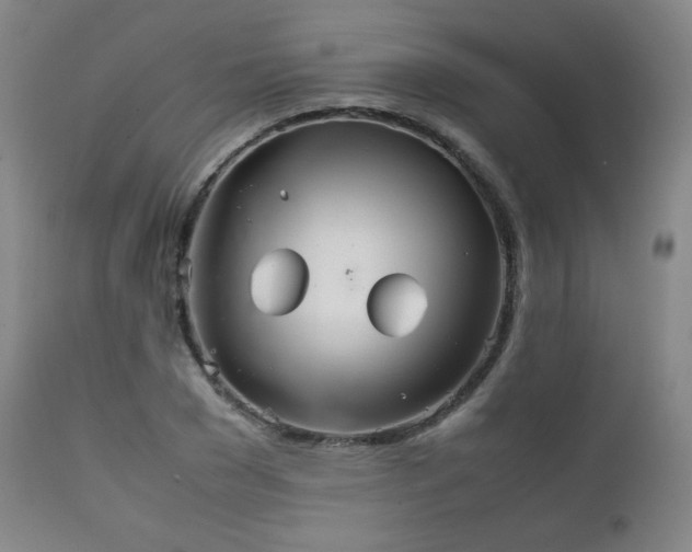 X0000111210977200907011439