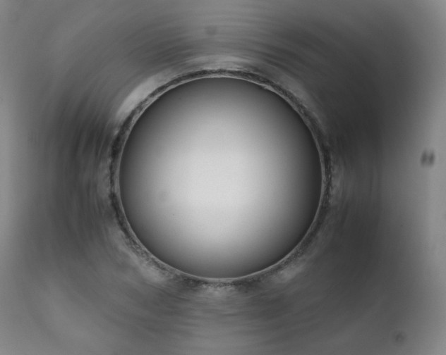 X0000111210978200907011439