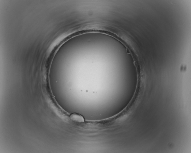 X0000111210981200907011439