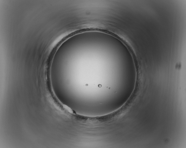 X0000111210983200907011439