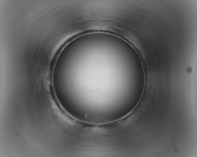 X0000111210984200907011439