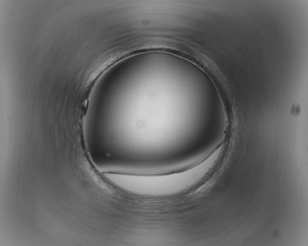 X0000111210985200907011439