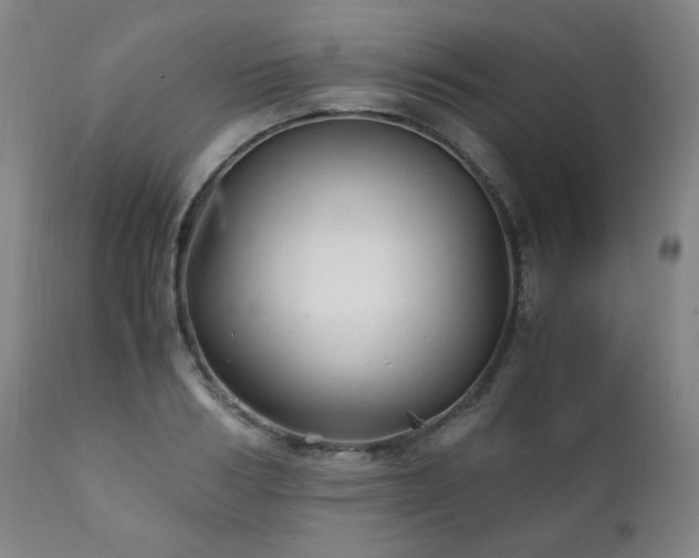 X0000111210986200907011439