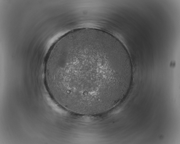 X0000111210987200907011439