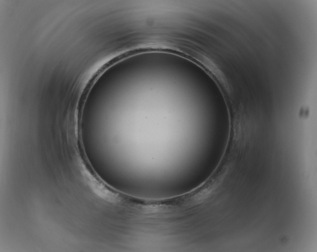 X0000111210988200907011439