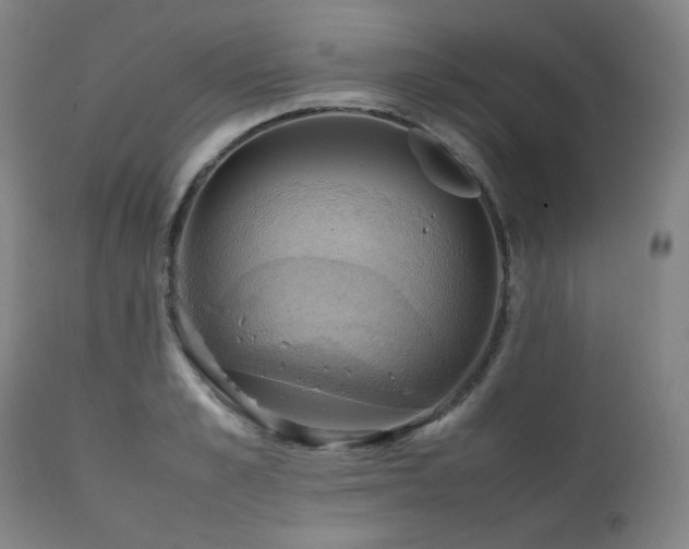 X0000111210989200907011439