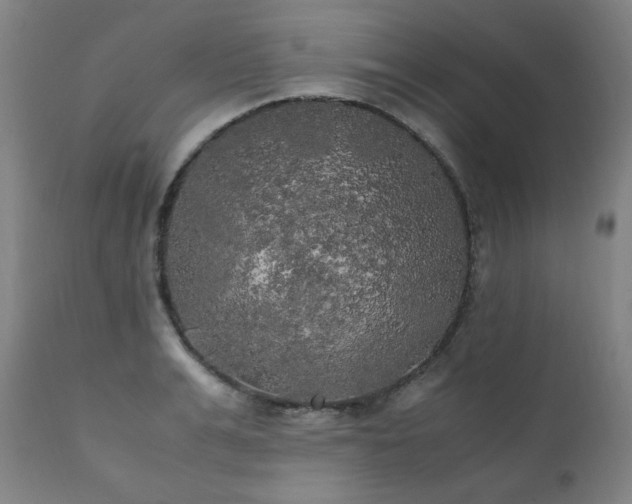 X0000111210991200907011439