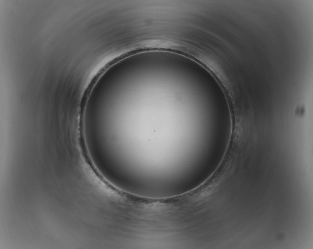 X0000111210992200907011439