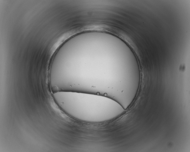 X0000111210994200907011439