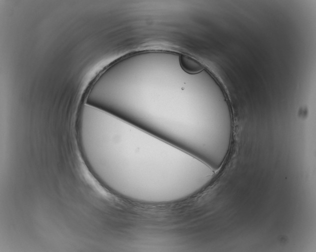 X0000111210995200907011439