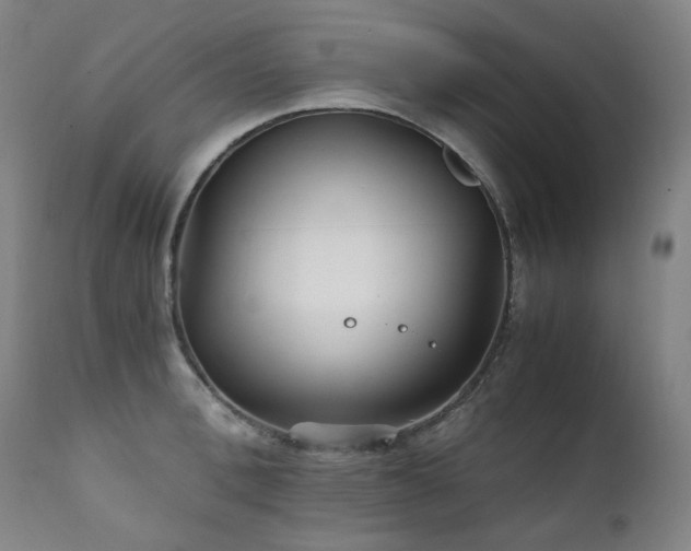 X0000111210996200907011439