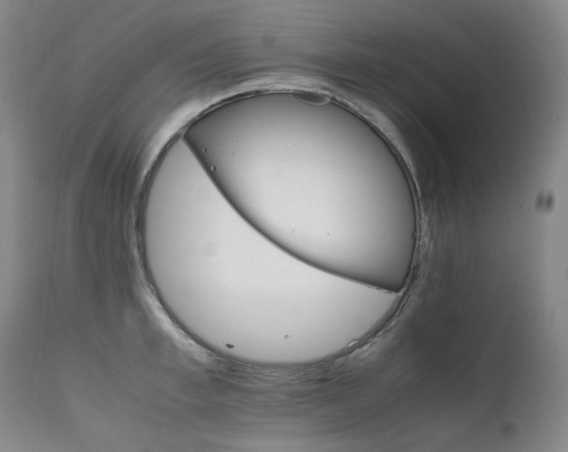 X0000111210997200907011439