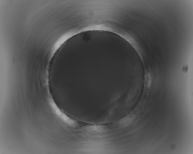 X0000111210998200907011439