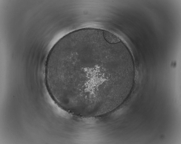 X0000111210999200907011439