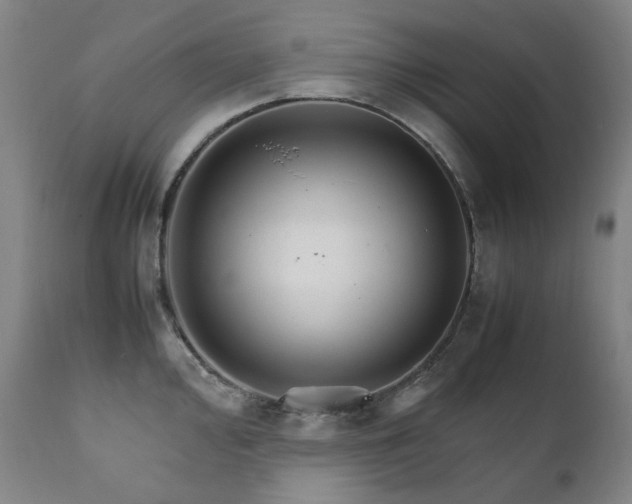 X0000111211000200907011439