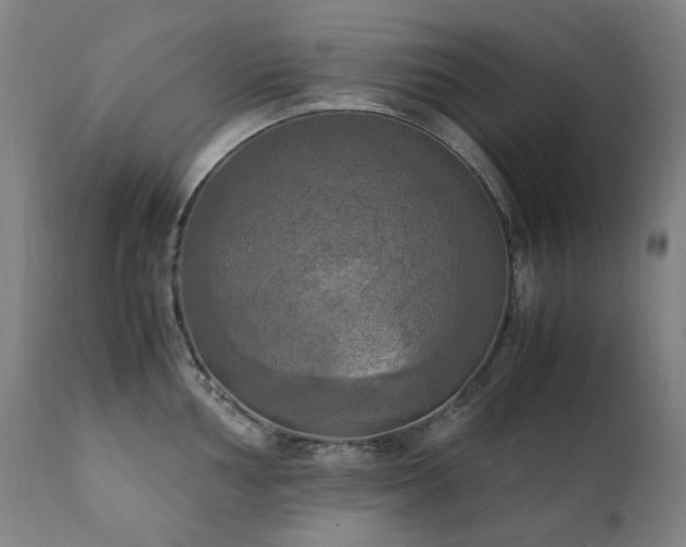 X0000111211002200907011439