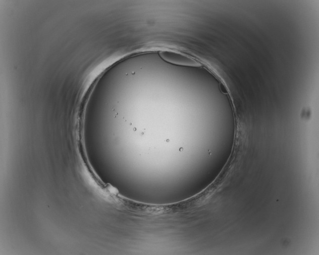 X0000111211003200907011439