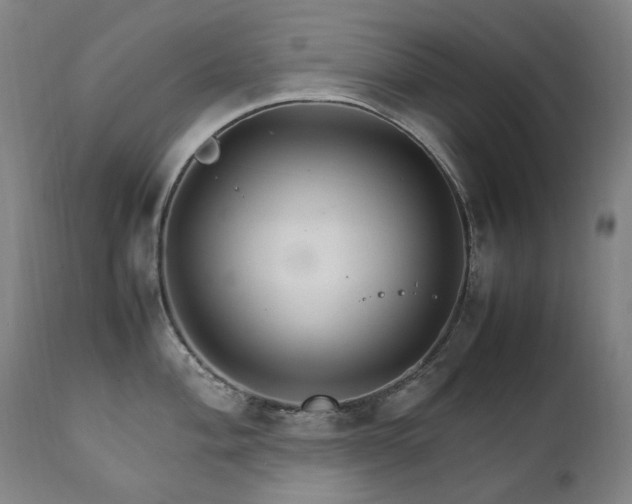 X0000111211004200907011439