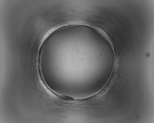 X0000111211005200907011439