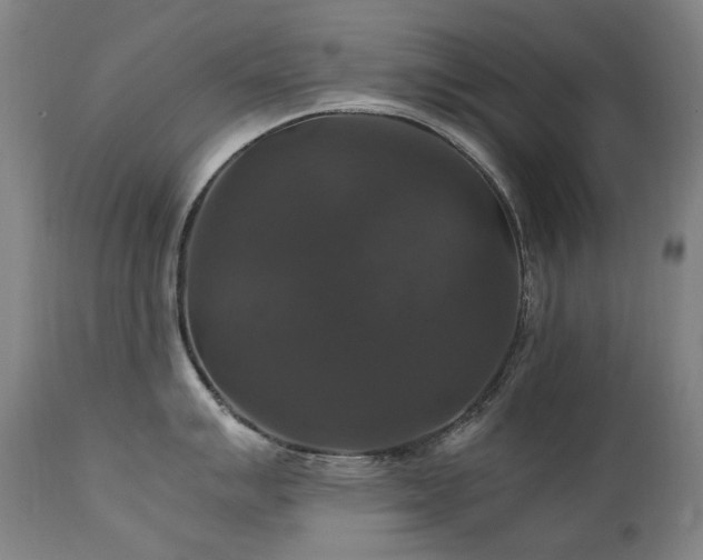 X0000111211007200907011439