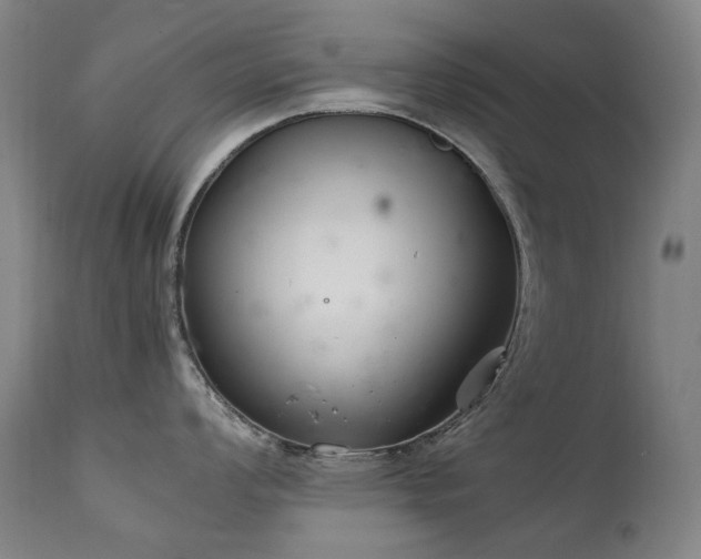 X0000111211008200907011439