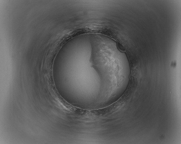 X0000111211009200907011438