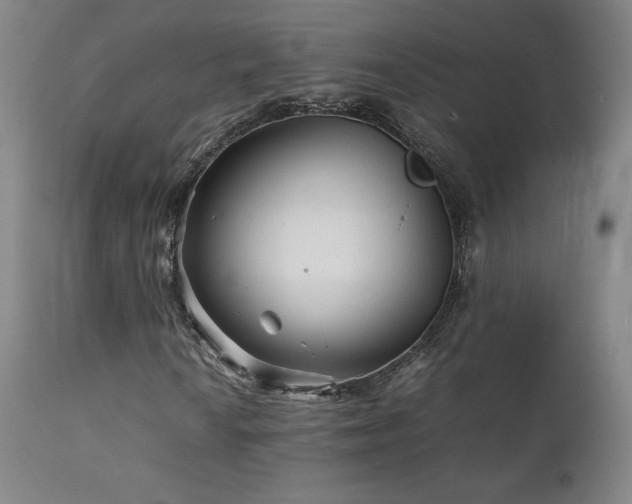 X0000111211010200907011438