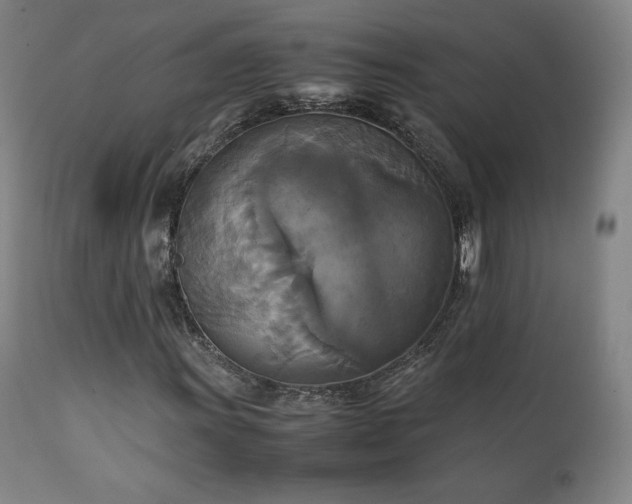 X0000111211011200907011438