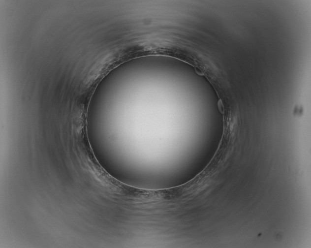 X0000111211012200907011438