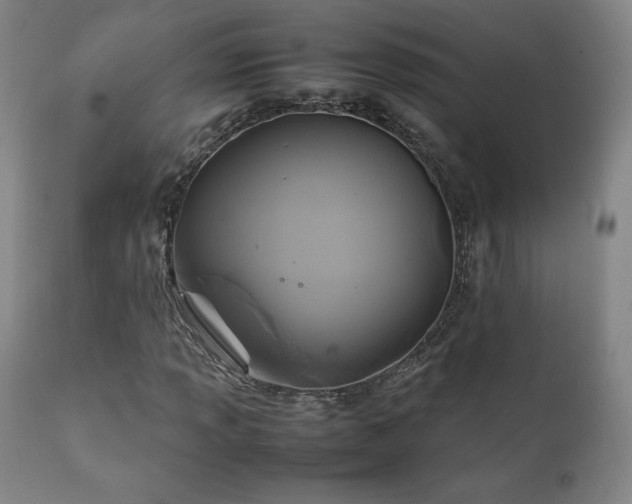 X0000111211013200907011438