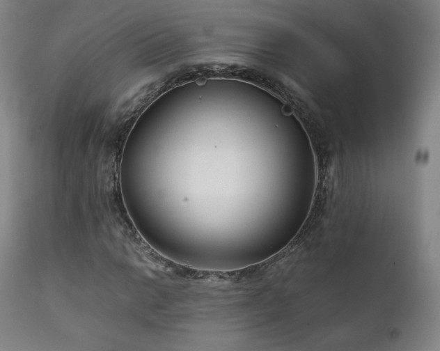 X0000111211014200907011438