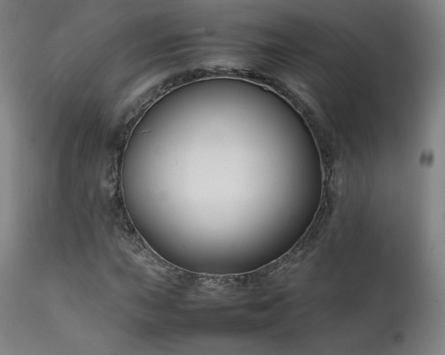 X0000111211015200907011438