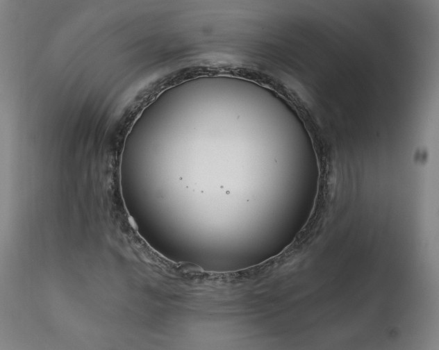 X0000111211016200907011438