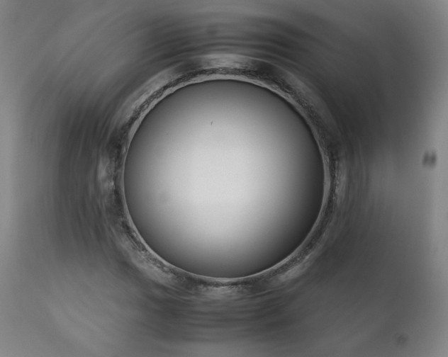 X0000111211017200907011438