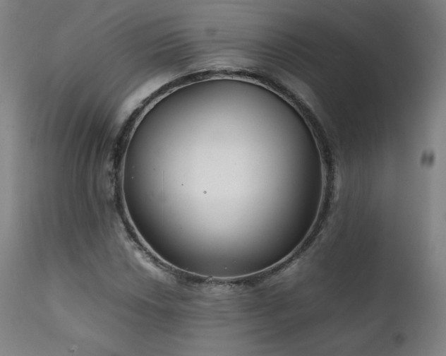 X0000111211018200907011438