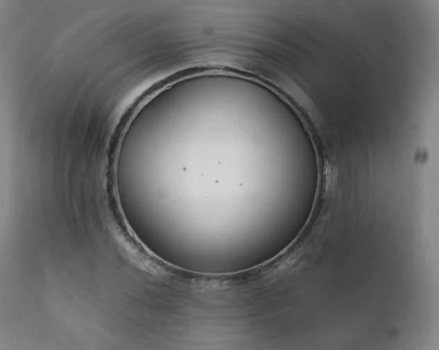 X0000111211020200907011438